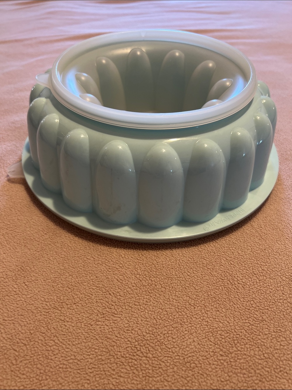 Tupperware Jello/ice Mold